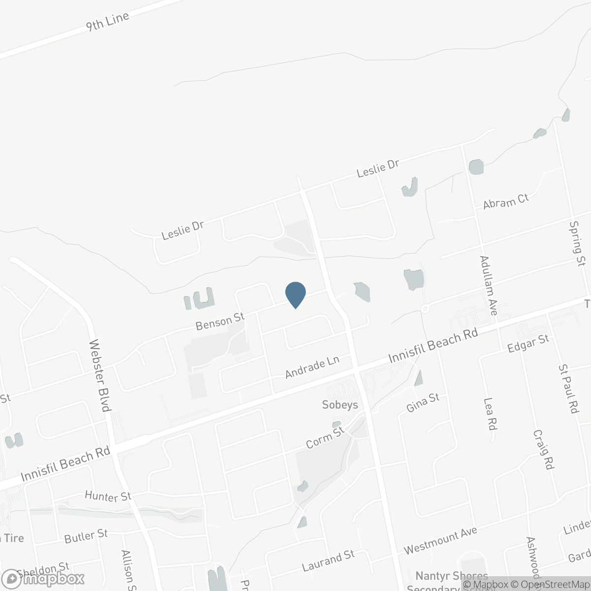 1204 BENSON STREET, Alcona, Ontario L9S 1Y5